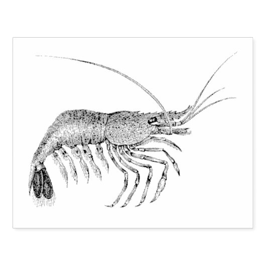  garnaal geïllustreerd Rubberkunststempel Rubberstempel (Afrduk)