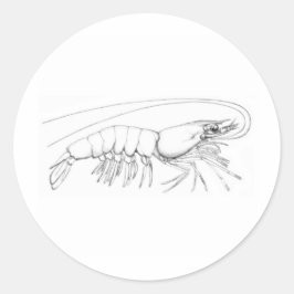 Garnaal-Logo Ronde Sticker