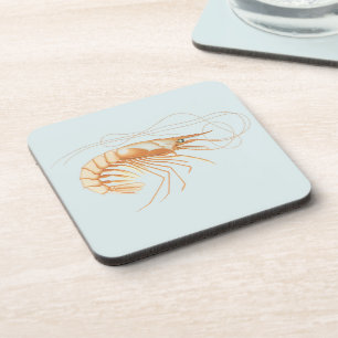 Garnaal of Steurgarnaal, Oude Zeedieren Oceaan Die Bier Onderzetter