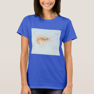 Garnaal, oude afbeeldingen van zeeleven en oceandi t-shirt