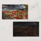 Garnaal Paella Pan Visitekaartje (Voorkant / Achterkant)