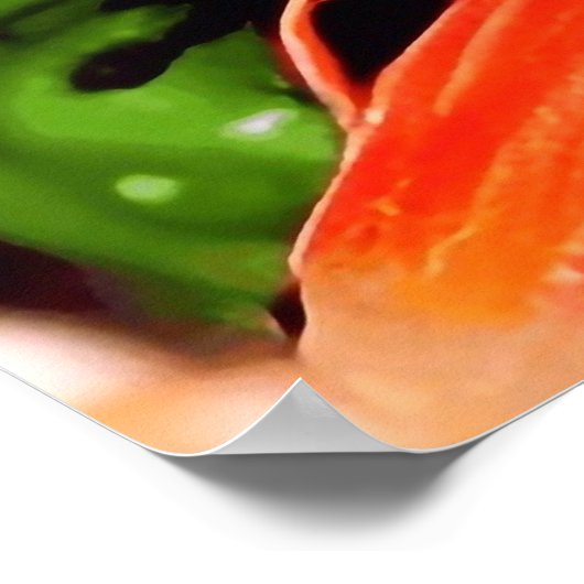 Garnaal Poster (Hoek)