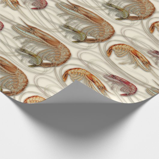 Garnaal Schelvis Pattern Ecru Cadeaupapier (Hoek)