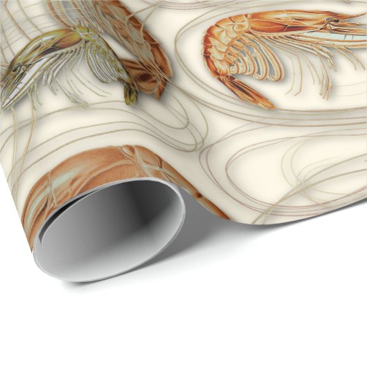 Garnaal Schelvis Pattern Ecru Cadeaupapier (Rol Hoek)