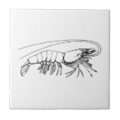 garnaal tegeltje (Voorkant)