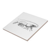  garnaal tegeltje (Zijkant)