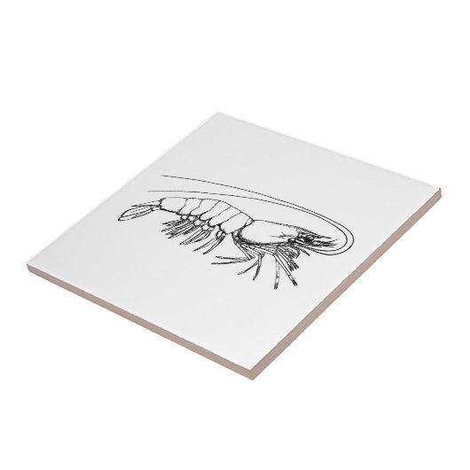 garnaal tegeltje (Zijkant)