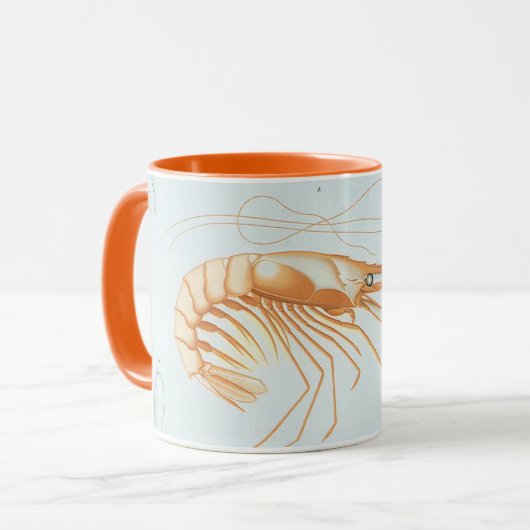 Garnaal uit de oude doos, anatomie van zeedieren e mok (Voorkant links)