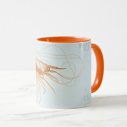 Garnaal uit de oude doos, anatomie van zeedieren e mok (Voorkant rechts)