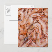 Garnalen Briefkaart (Voorkant / Achterkant)