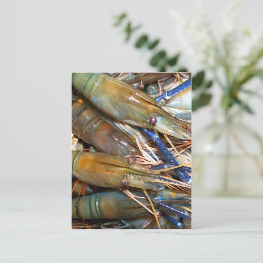 garnalen briefkaart (Staand voorkant)