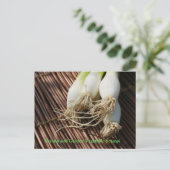 Garnalen en Tuin Groente Scampi Briefkaart (Staand voorkant)