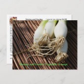 Garnalen en Tuin Groente Scampi Briefkaart (Voorkant / Achterkant)