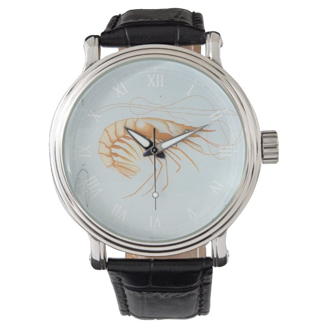  garnalen, Marine Life Ocean Animals Anatomy Horloge (Voorkant)