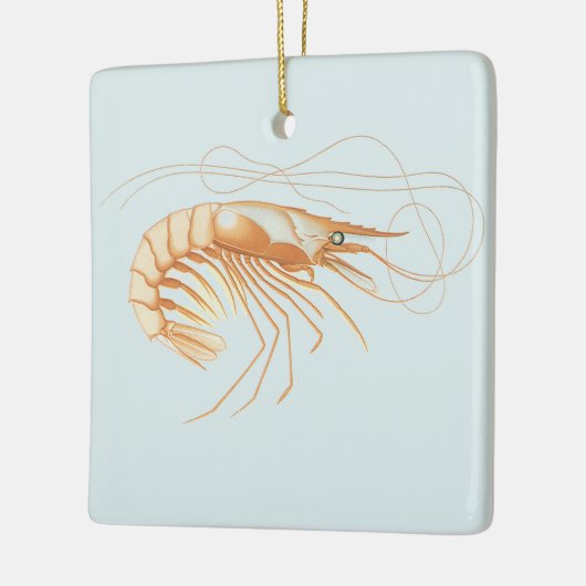  garnalen, Marine Life Ocean Animals Anatomy Keramisch Ornament (Links)