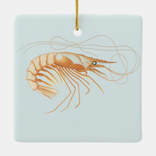  garnalen, Marine Life Ocean Animals Anatomy Keramisch Ornament (Achterkant)