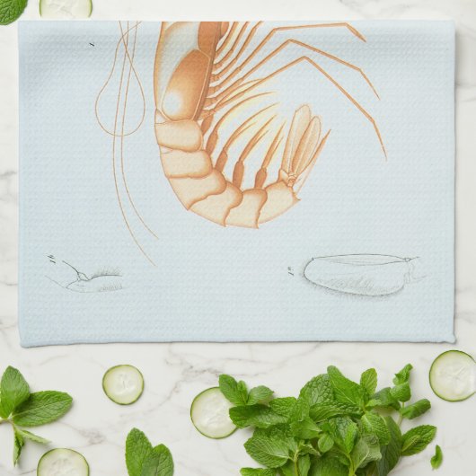  garnalen, Marine Life Ocean Animals Anatomy Theedoek (Gevouwen)