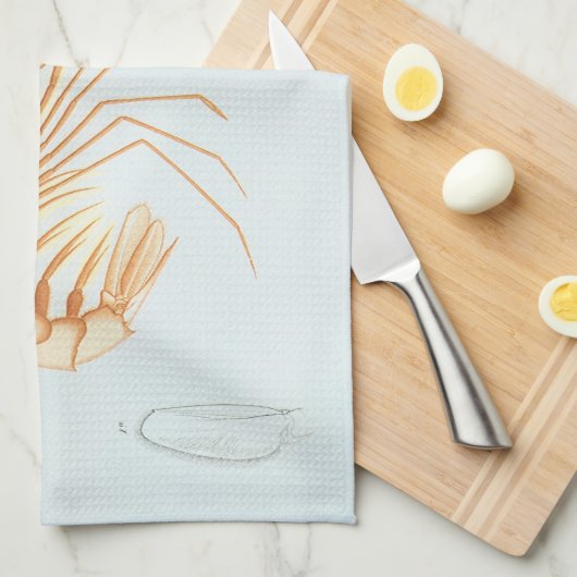  garnalen, Marine Life Ocean Animals Anatomy Theedoek (Quarter Fold)