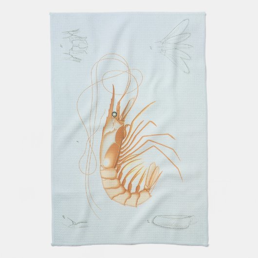  garnalen, Marine Life Ocean Animals Anatomy Theedoek (Verticaal)