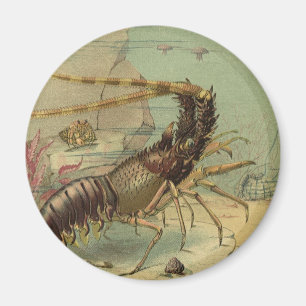 Garnalen, Onderwater Zeedieren, Dierentuin Oceaan  Magneet