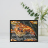 Garnalen op de Recept Kaart (Staand voorkant)