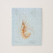  garnalenanatomie, zeedieren legpuzzel (Verticaal)