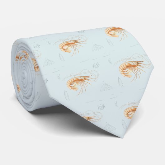  garnalenanatomie, zeedieren stropdas (Opgerold)