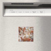 garnalenmagneet magneet (Insitu (Vaatwasser))