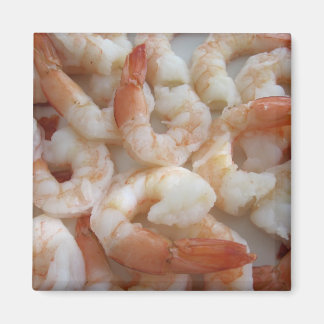 garnalenmagneet magneet