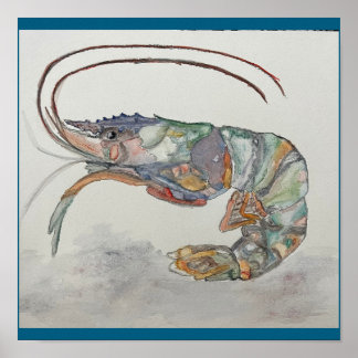 garnalenprint van C. JONES Poster