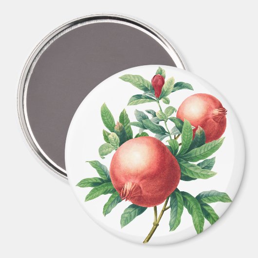 Garnenpatroon Magneet (Voorkant / Achterkant)