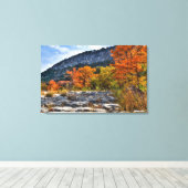 Garner State Park Canvas Afdruk (Insitu (Houten vloer))