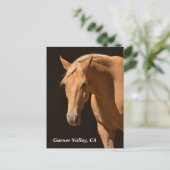 Garner Valley Briefkaart (Staand voorkant)