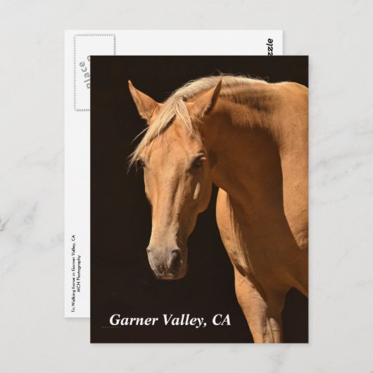 Garner Valley Briefkaart (Voorkant / Achterkant)