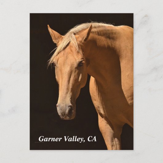 Garner Valley Briefkaart (Voorkant)