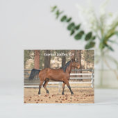 Garner Valley Briefkaart (Staand voorkant)