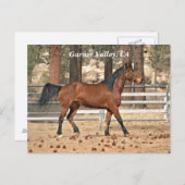 Garner Valley Briefkaart (Voorkant / Achterkant)