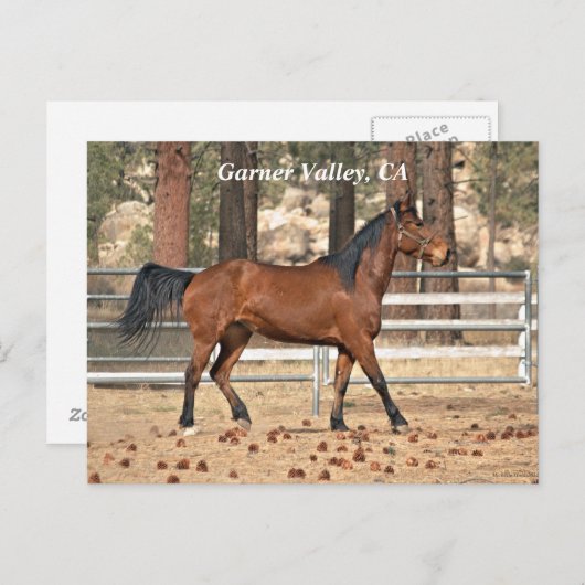 Garner Valley Briefkaart (Voorkant / Achterkant)