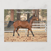 Garner Valley Briefkaart (Voorkant)