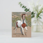 Garner Valley Briefkaart (Staand voorkant)
