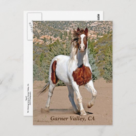 Garner Valley Briefkaart (Voorkant / Achterkant)