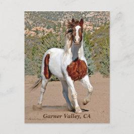 Garner Valley Briefkaart