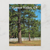 Garner Valley Briefkaart (Voorkant)