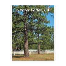 Garner Valley Briefkaart