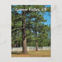 Garner Valley Briefkaart