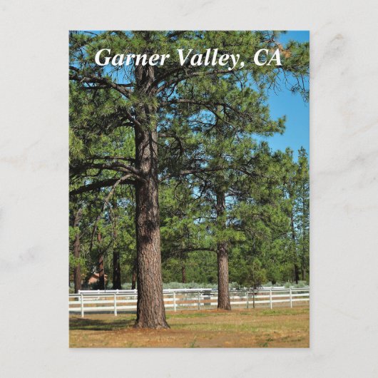Garner Valley Briefkaart (Voorkant)