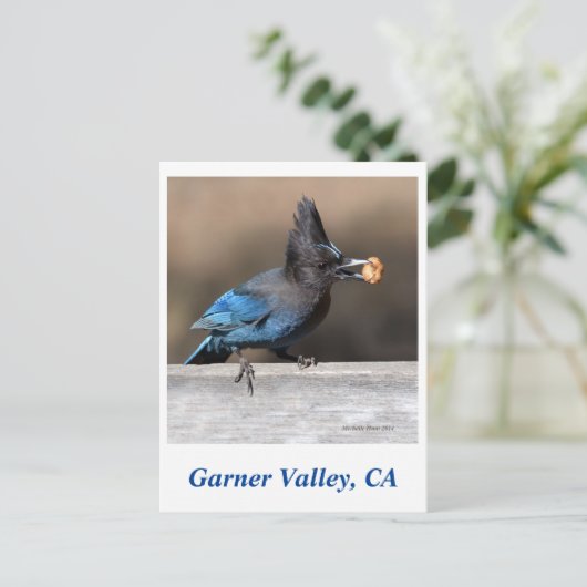 Garner Valley Briefkaart (Staand voorkant)