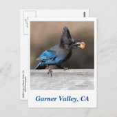 Garner Valley Briefkaart (Voorkant / Achterkant)