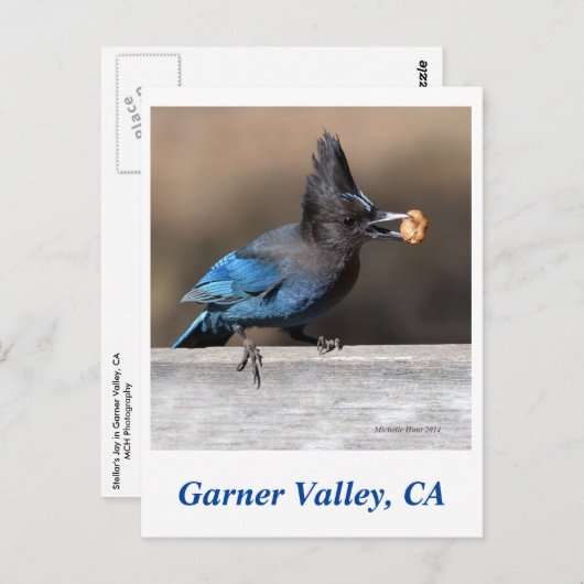 Garner Valley Briefkaart (Voorkant / Achterkant)