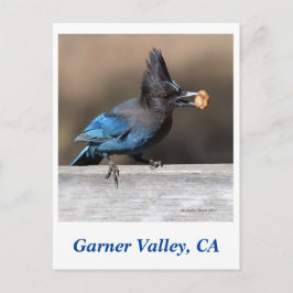 Garner Valley Briefkaart